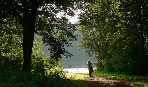 screenshot 20240913 141207