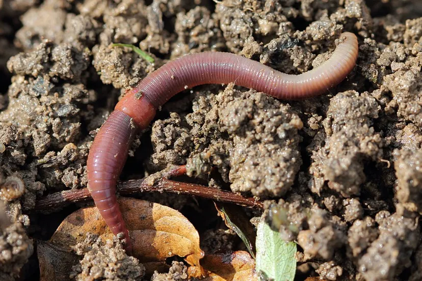 screenshot 20240917 142603