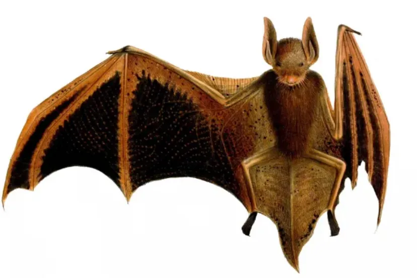 screenshot 20240921 133846