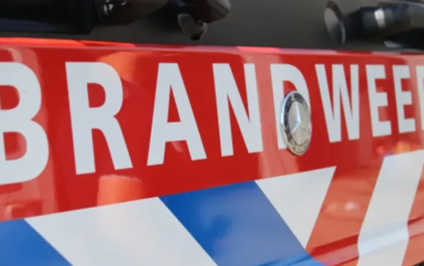 screenshot 20240924 100202