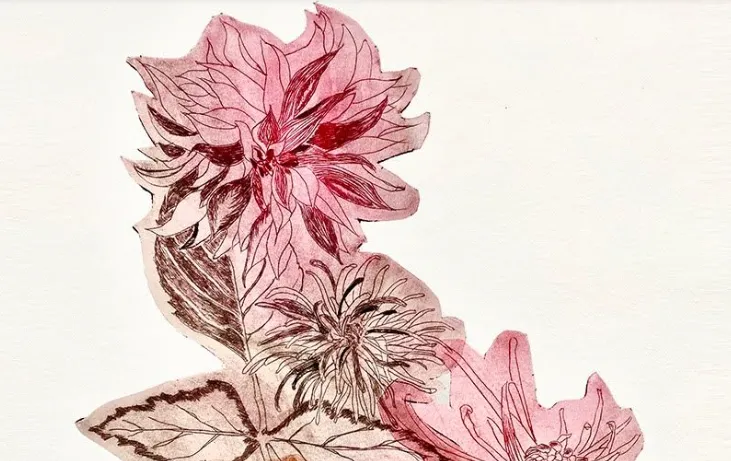 screenshot 20240927 122155