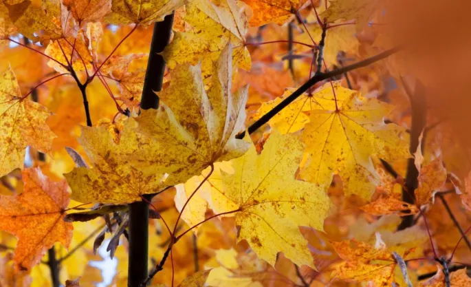 screenshot 20240928 122921