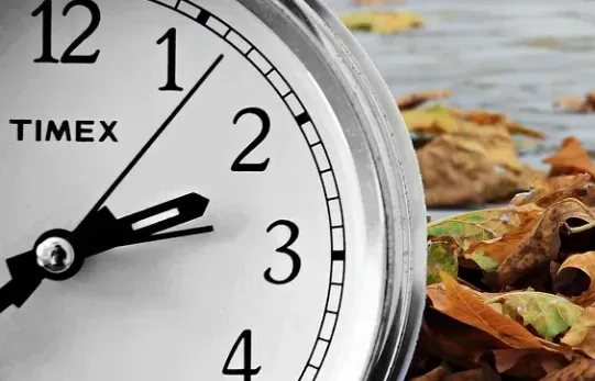 screenshot 20211030 163741