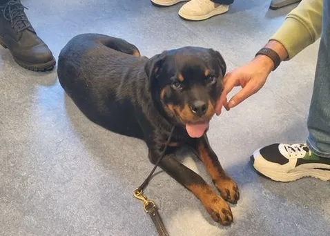 screenshot 20241004 150719