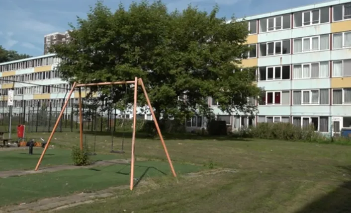 screenshot 20241008 144702