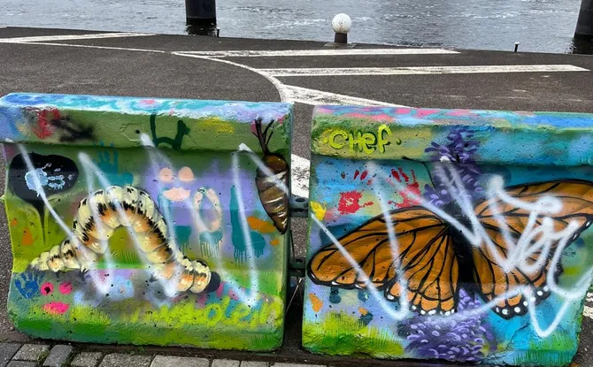 screenshot 20241012 164846