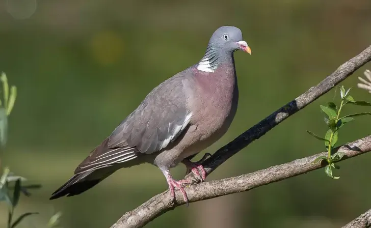 screenshot 20241014 151234