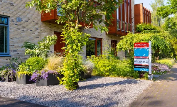 screenshot 20241022 110459