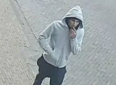 screenshot 20241031 101307