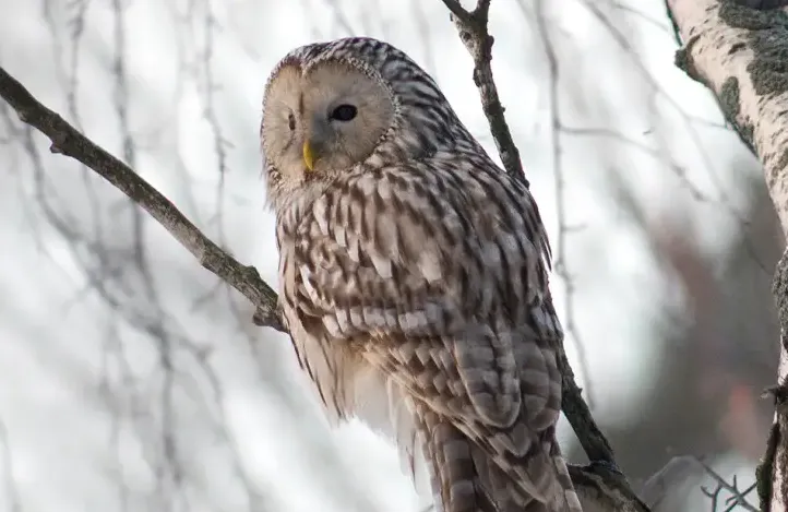 screenshot 20241031 123006