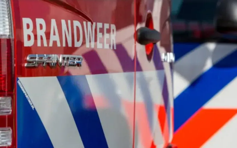 screenshot 20230117 105930 915x518 1 915x518 1 668ea8438d42f