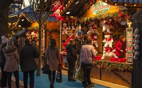 screenshot 20241105 145314