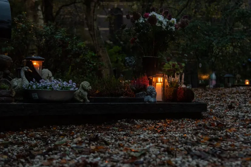 screenshot 20241106 134651