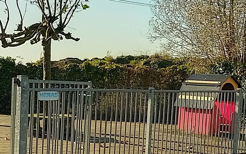 screenshot 20241110 102053