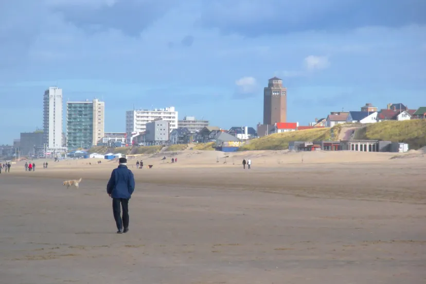 screenshot 20241112 120312