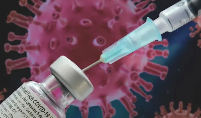 screenshot 20241114 145005