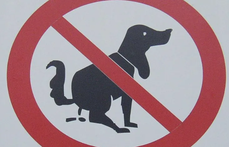 screenshot 20241120 104307