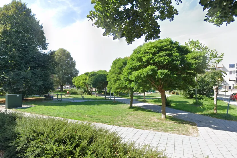 screenshot 20241120 114136