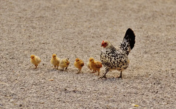 screenshot 20241120 182539