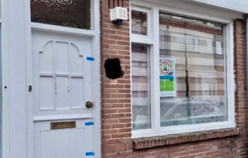 screenshot 20241121 110356