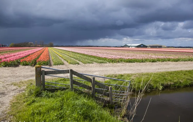 screenshot 20241128 085542