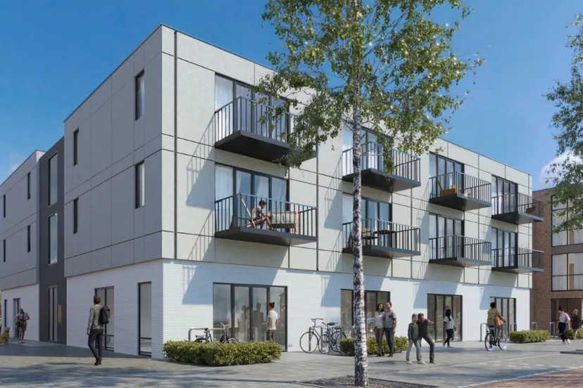 screenshot 20241129 114533