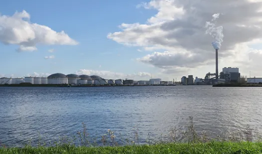 screenshot 20241204 111816