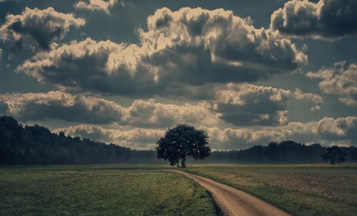 screenshot 20241205 114434