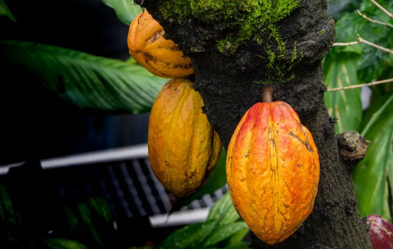 screenshot 20241209 154734