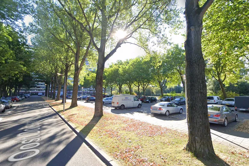 screenshot 20241211 145829