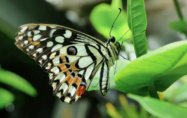 screenshot 20241215 151148