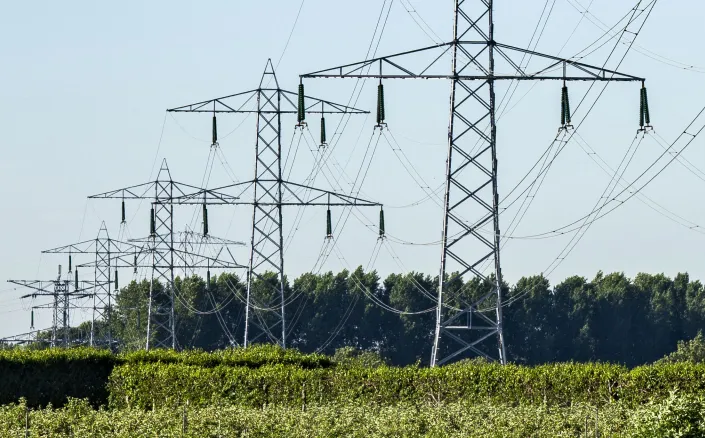 screenshot 20241219 094405