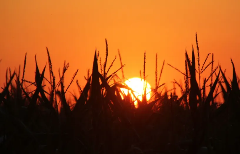 screenshot 20241221 130108