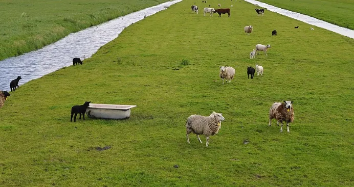 screenshot 20241221 151720