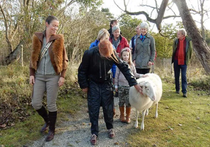 screenshot 20241224 152147