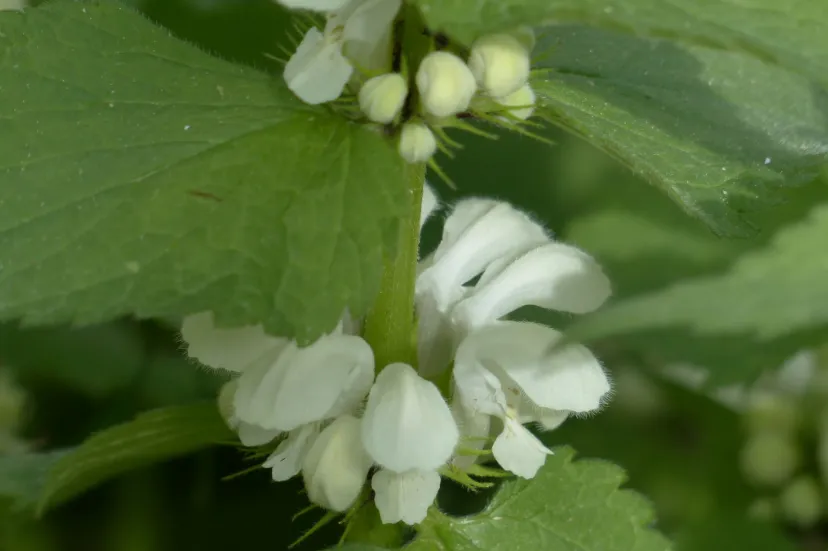 screenshot 20241225 105246