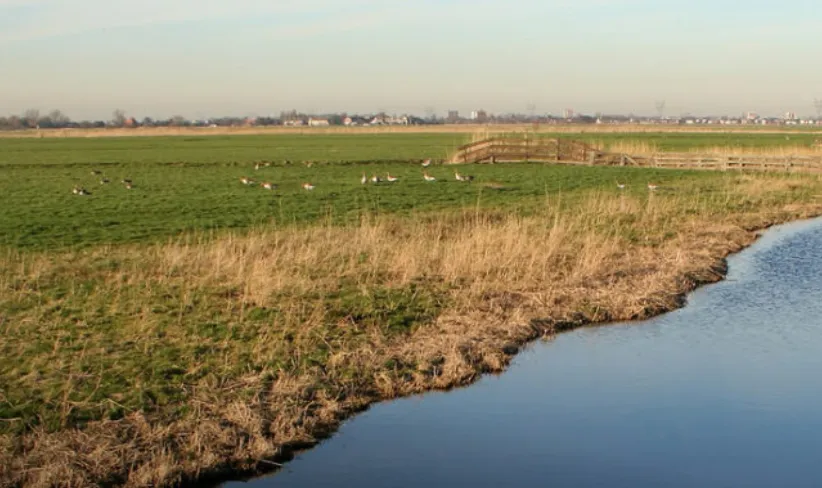 screenshot 20241226 103633