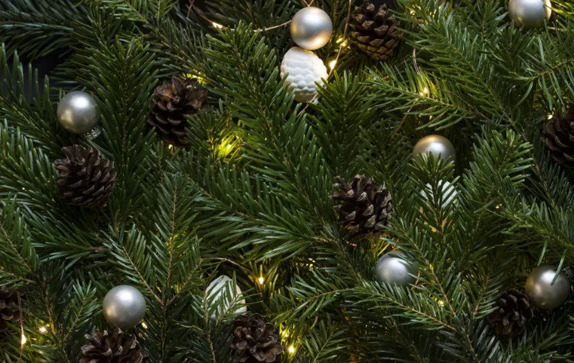 screenshot 20241227 162115