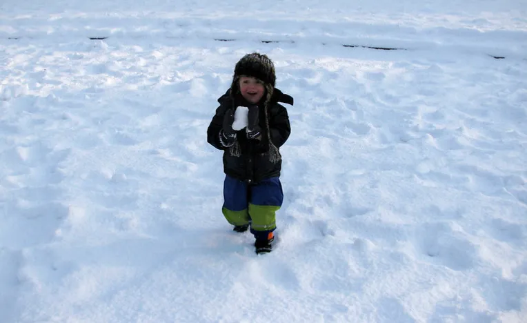 screenshot 20241229 094509