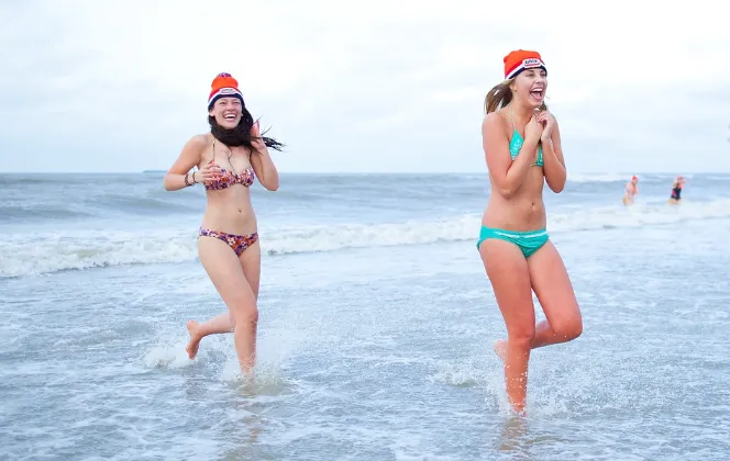 screenshot 20241229 123840