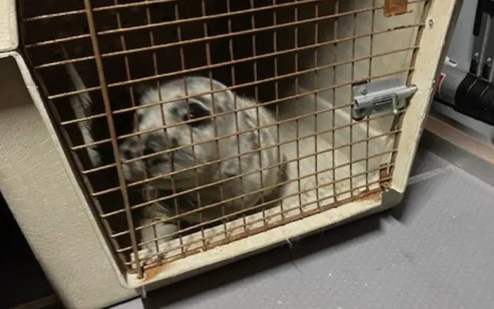 screenshot 20241231 140219