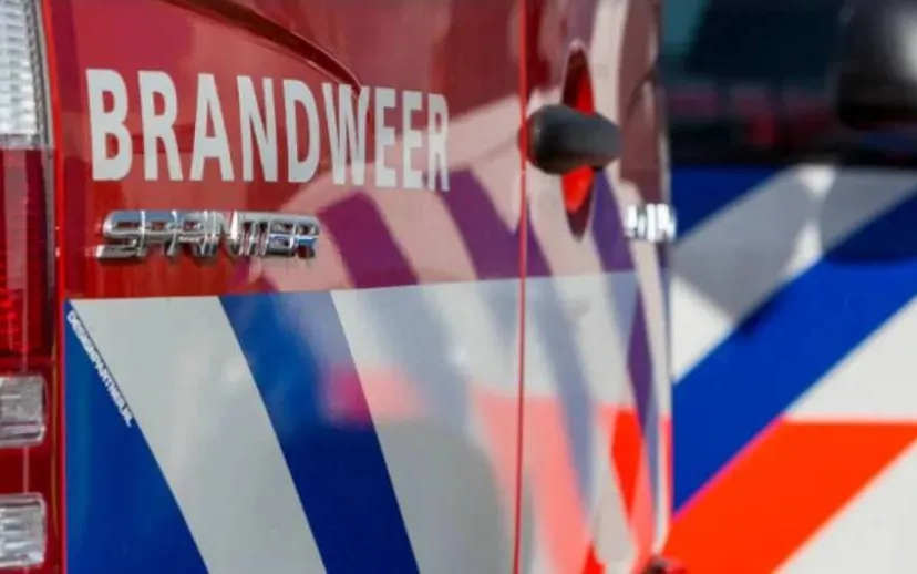 screenshot 20230117 105930 915x518 1jpg