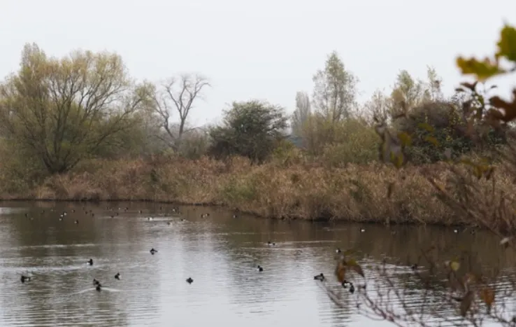 screenshot 20250102 121720