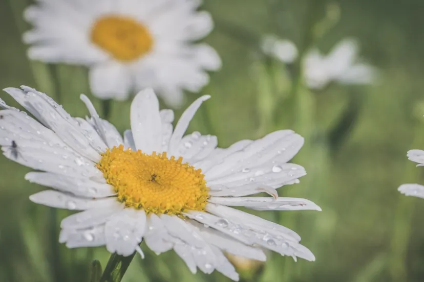 screenshot 20250107 093657