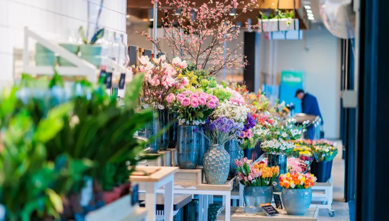 screenshot 20250107 105741