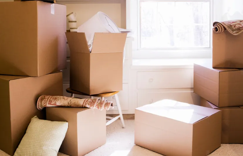 screenshot 20250108 105352