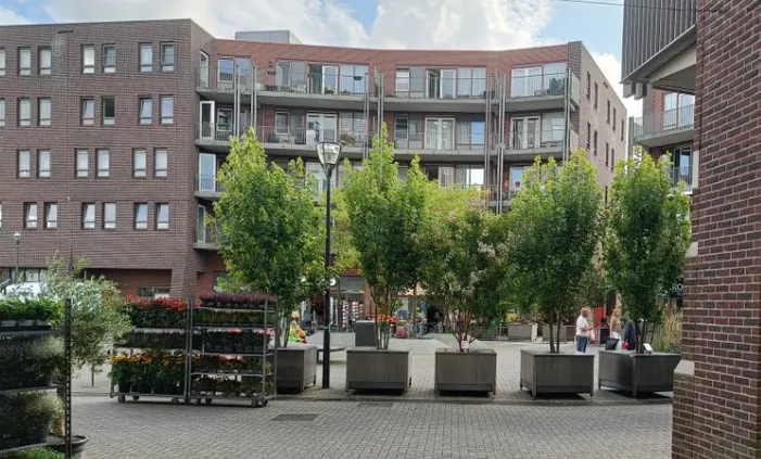 screenshot 20250108 153432