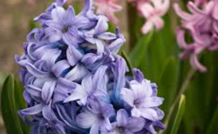 screenshot 20250118 112445