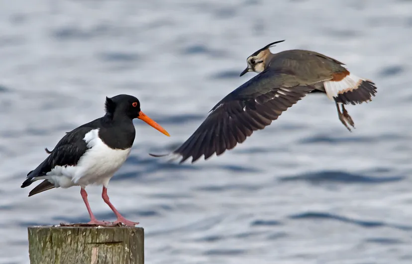 screenshot 20250118 114858