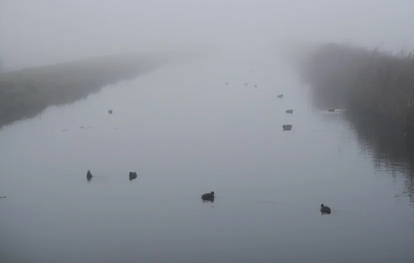 screenshot 20250118 150156